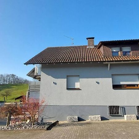 Grosse Tolle 4 Zimmer Ferienwohnung Im Herzen Des Odenwaldes Mörlenbach Exterior foto