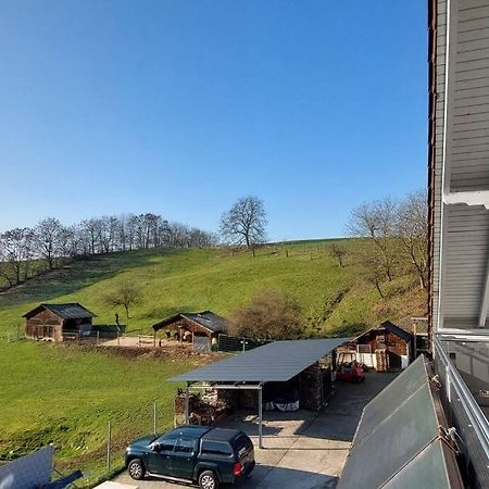 Grosse Tolle 4 Zimmer Ferienwohnung Im Herzen Des Odenwaldes Mörlenbach Exterior foto
