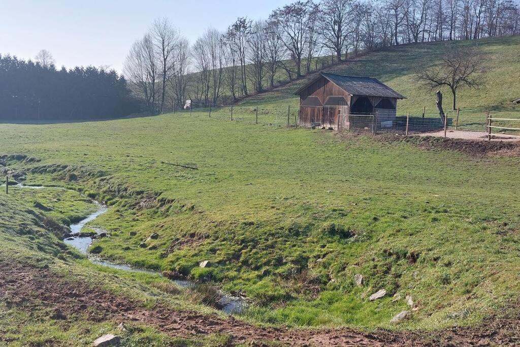 Grosse Tolle 4 Zimmer Ferienwohnung Im Herzen Des Odenwaldes Mörlenbach Exterior foto